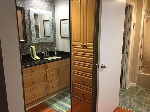 3rd image of 1000 S Harbour Island Blvd APT 2204