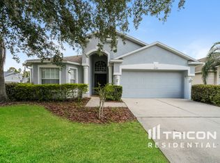 31333 Heatherstone Dr, Wesley Chapel, FL 33543