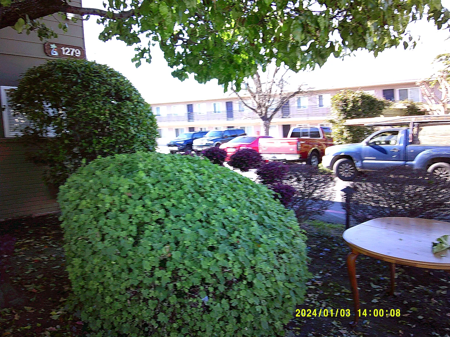 Pacific Apartments — Photo 3
