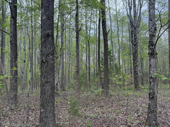 20 S Constitution Rte #5, Dillwyn, VA 23936