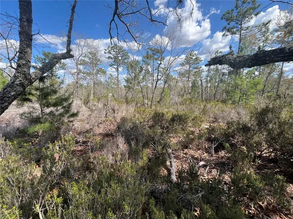 131 Quail Way Lot 6, Hawthorne, FL 32640