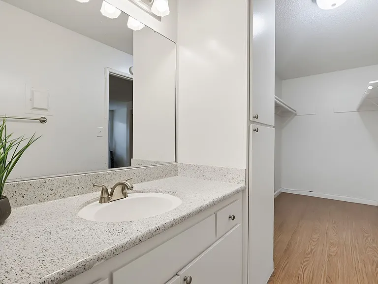 Palms Apartments — Photo 18