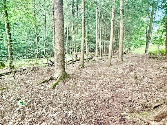 3rd image of 0 Hatch Run Rd