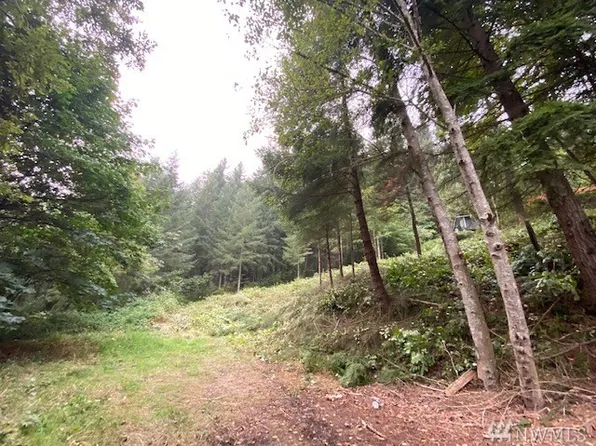 300 SE Summit Rd, Chehalis, WA 98532