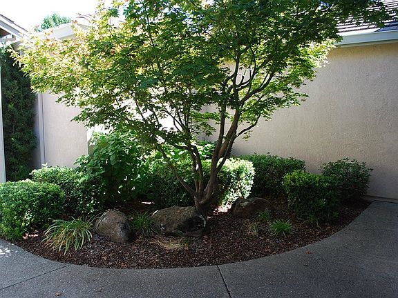 3rd image of 785 Yosemite Ct