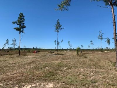 Camp Edgewood Rd, Dequincy, LA, 70633