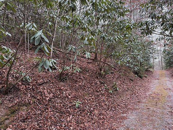 4th image of 7 & 8 Ideal Acres