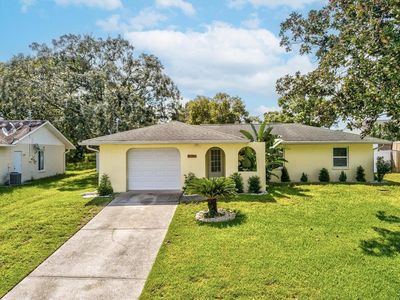 11086 Mayflower Rd, Spring Hill, FL, 34608