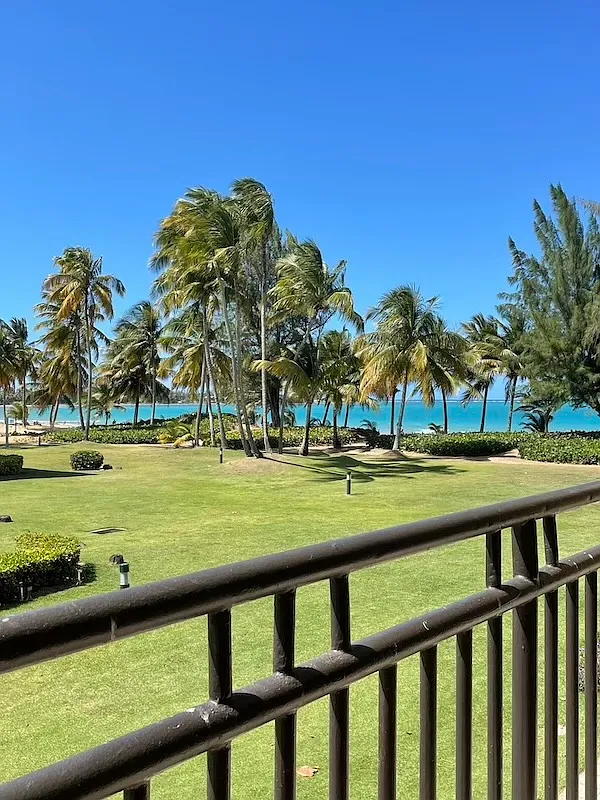2 bed, 1100 sqft, $2,325 — Photo 1