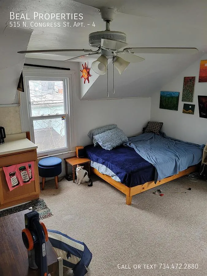 Studio, 450 sqft, $835 — Photo 4