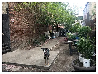 Rented by Opera House Lofts