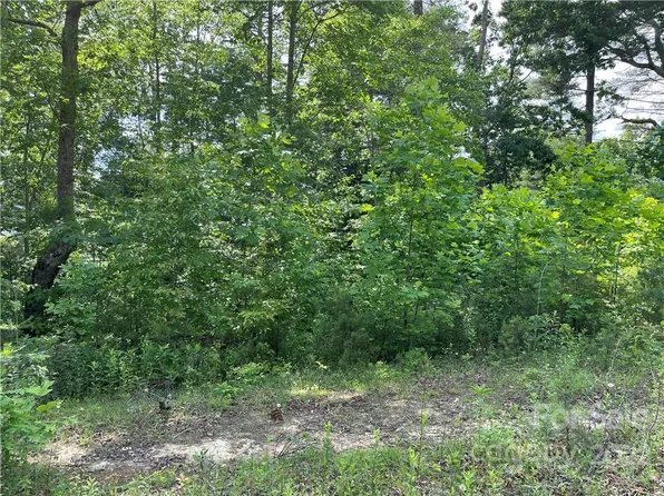 0 Spring Meadow Dr, Pisgah Forest, NC 28768
