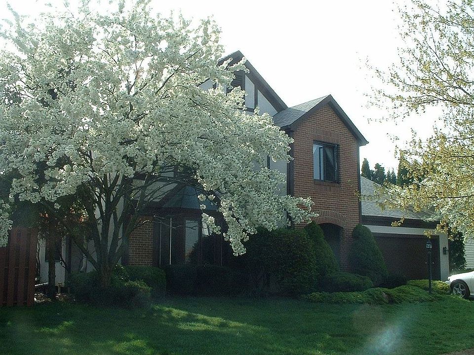Spring