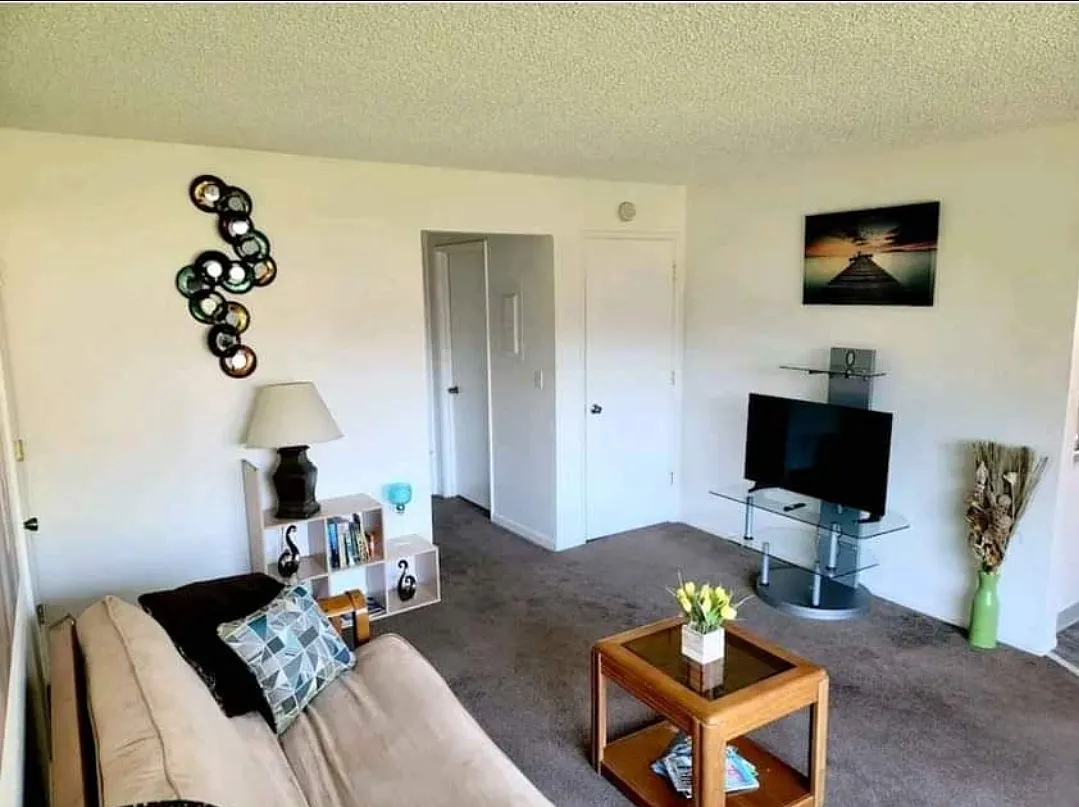 1 bed, $1,500 — Photo 4