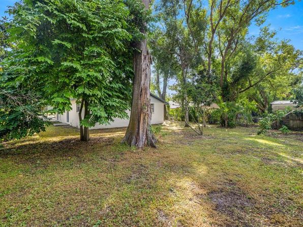 tampa-florida-82040831 picture