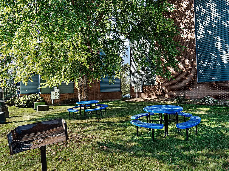 The Commons — Photo 34
