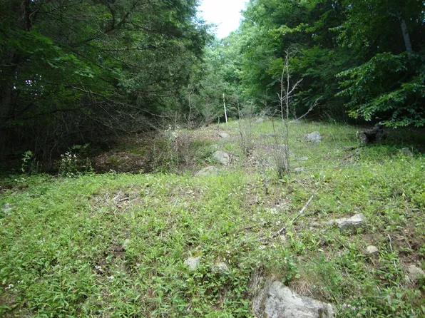 0 Zinks Mill School Rd, Montebello, VA 24464