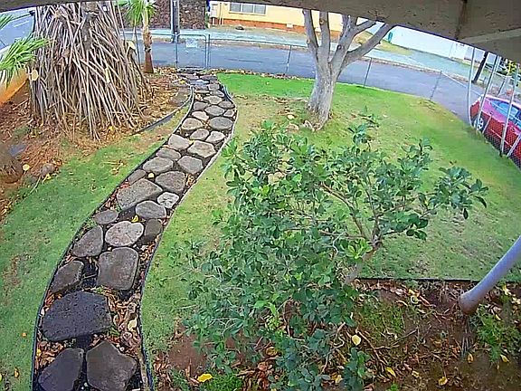 Front yard