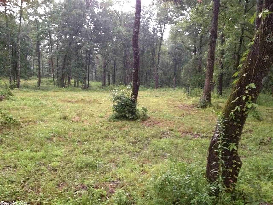 2nd image of Longwood Rd