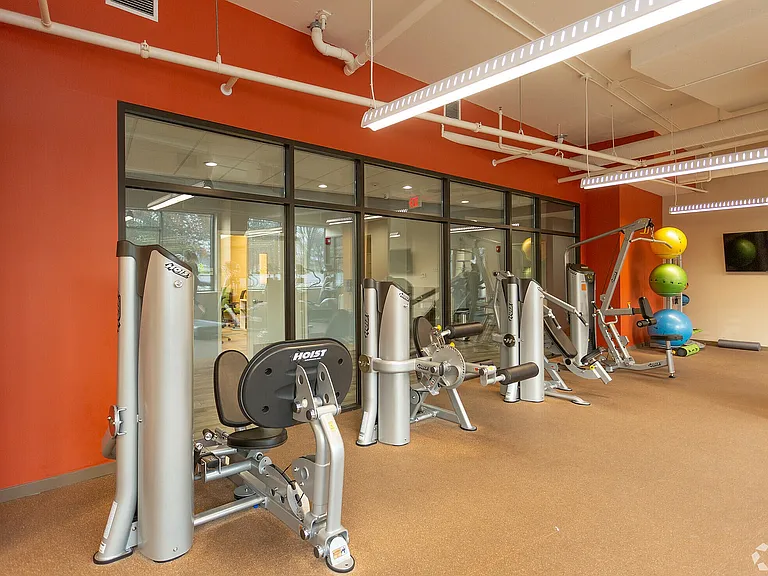 b75 gym 4