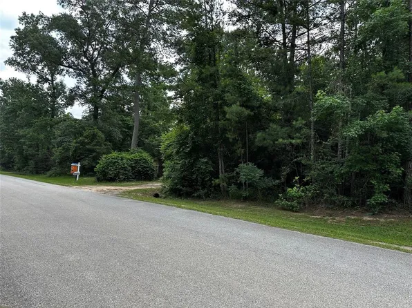 163 Hall Drive, Montgomery, TX 77316