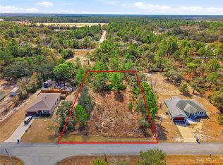 11263 Mexican Canary Ave Lot 3, Brooksville, FL 34614