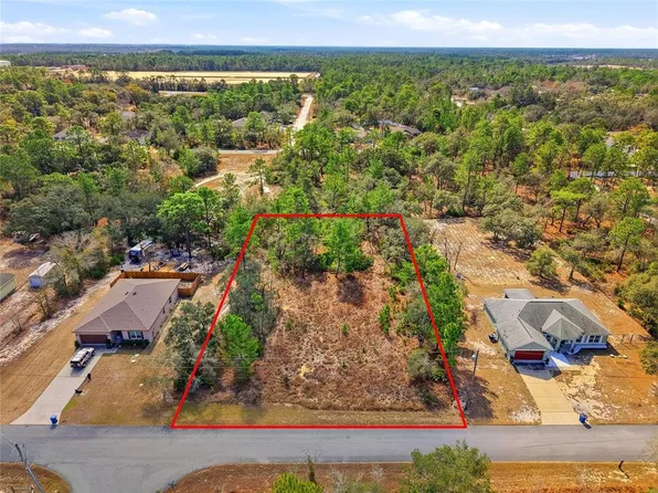 11263 Mexican Canary Ave Lot 3, Brooksville, FL 34614