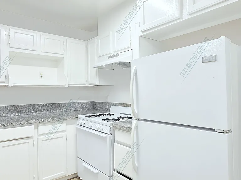 519 S Manhattan Pl #206 — Photo 8