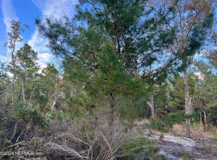 124 Tennessee Dr, Hawthorne, FL 32640