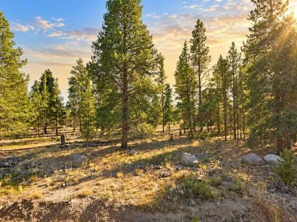 626 Spruce Drive, Twin Lakes, CO 80461