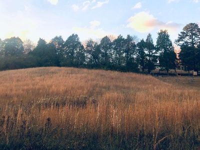Waldo Rd, Rockwood, TN, 37854