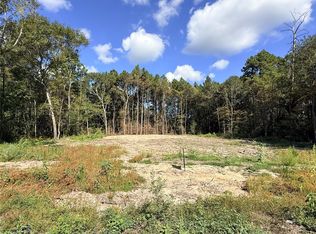 11249 Wildwood Ln, Plantersville, TX 77363