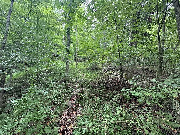 4th image of 5001 Greenview Rd