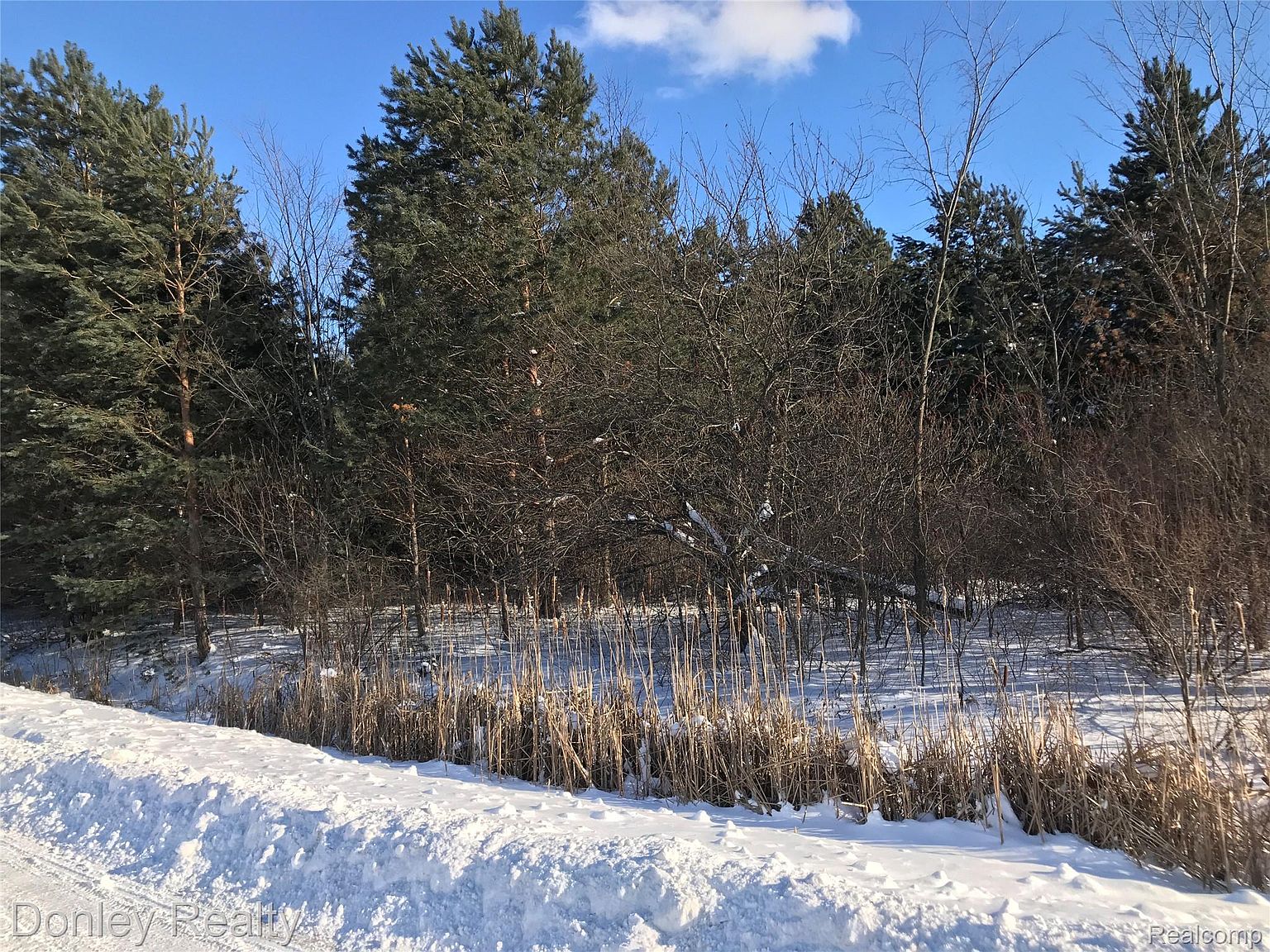 20 Vacant Lots Concord Cranbrook & Ln, photo 13