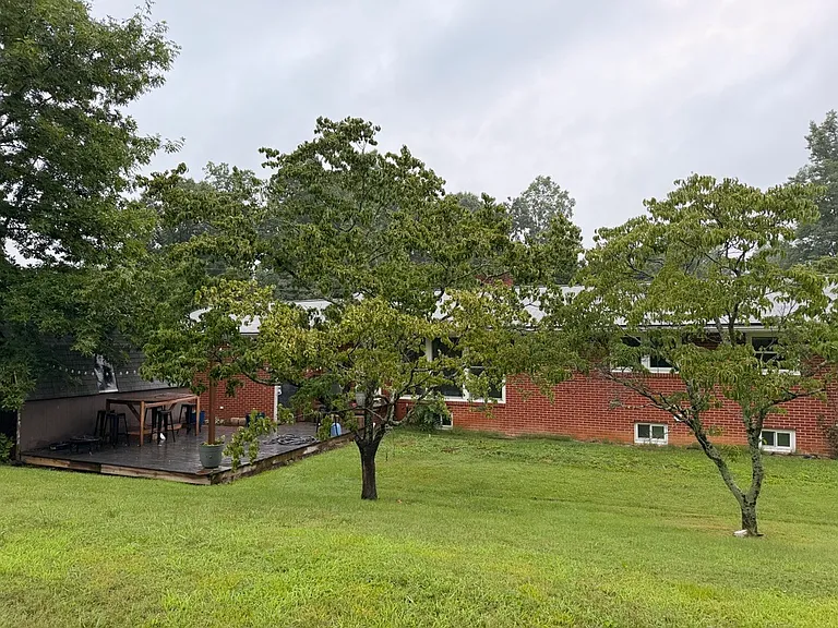 Gorgeous dogwood trees that bring shade and beautiful flowers in the spring.