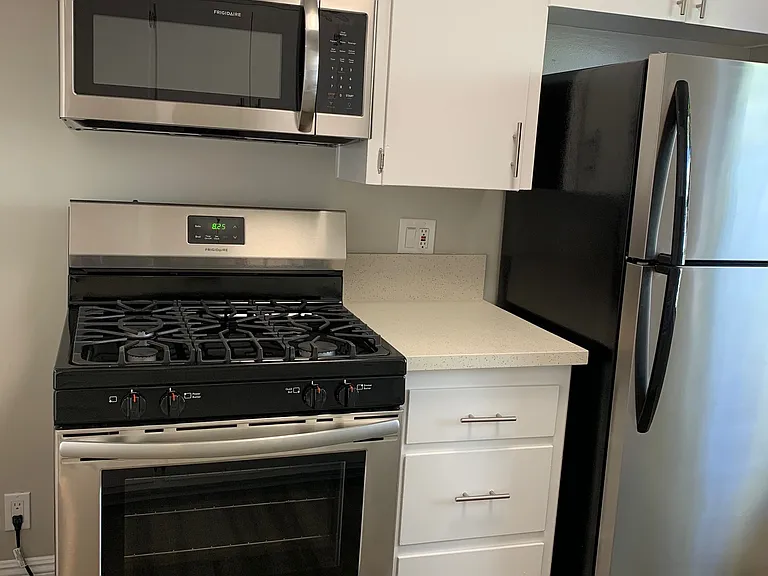 435 S Gramercy Pl — Photo 7