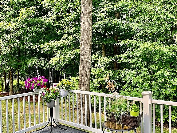 3rd image of 28494 Cottage Ln