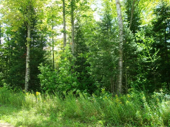 Velvet Lake Rd Tract 2059, Rhinelander, WI 54501