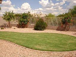 Private Back Yard