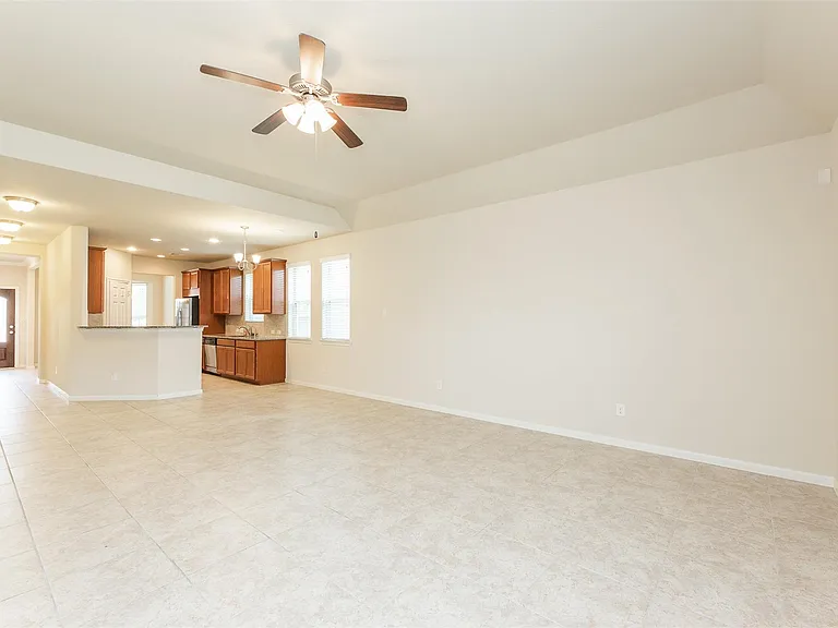 16915 Sedum Grn — Photo 9