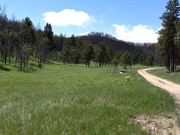 Song Dog Rd, Custer, SD 57730