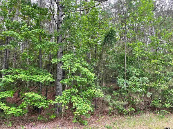 E State Highway 7, Ratcliff, TX 75858