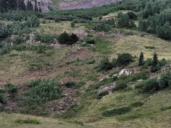 TBD CR 124, Hesperus, CO 81326