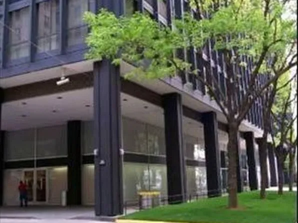 910 N Lake Shore Dr #2906, Chicago, IL 60610