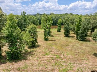 785 Stone Chimney Rd LOT 3-3608, Bullard, TX 75757