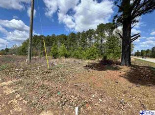 1549 Lester Rd, Dillon, SC 29536