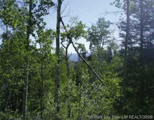 1st image of 696 Porcupine Loop #Ss-144