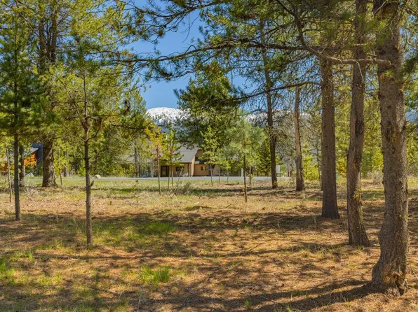 435 Wilhelm Creek Ct, McCall, ID 83638