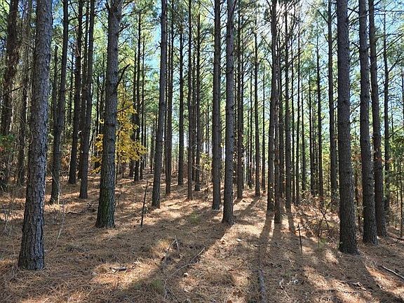 5th image of 18 Heavener