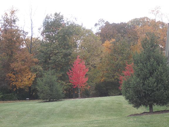 Fall @ Blackwatch Farm